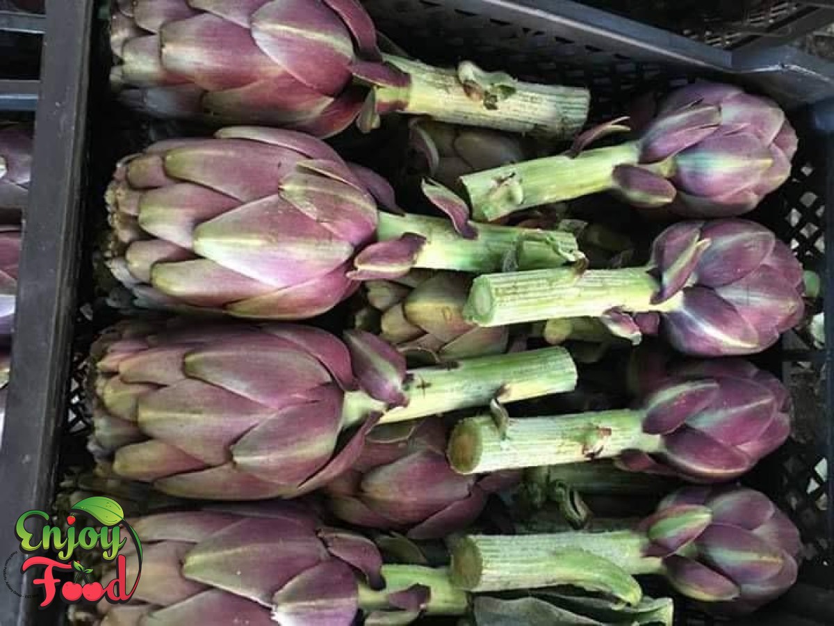Fresh Artichoke