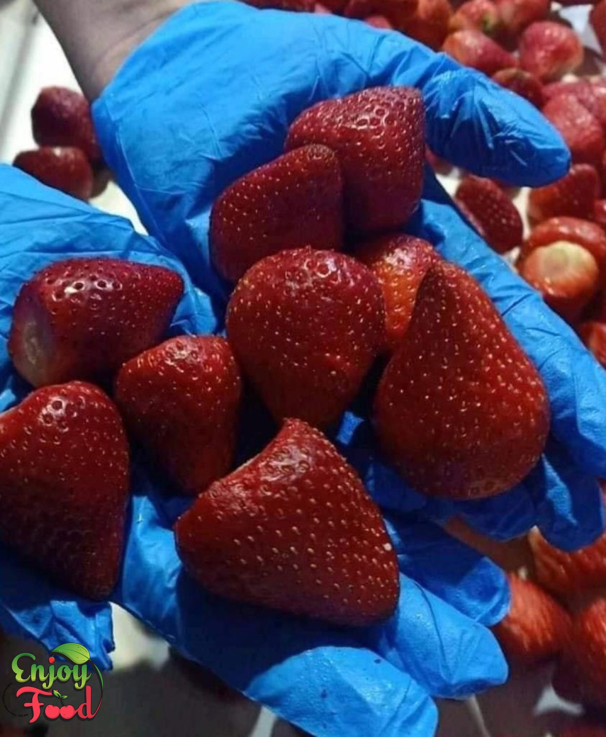 Enjoy Food Egypt - Frozen Strawberry