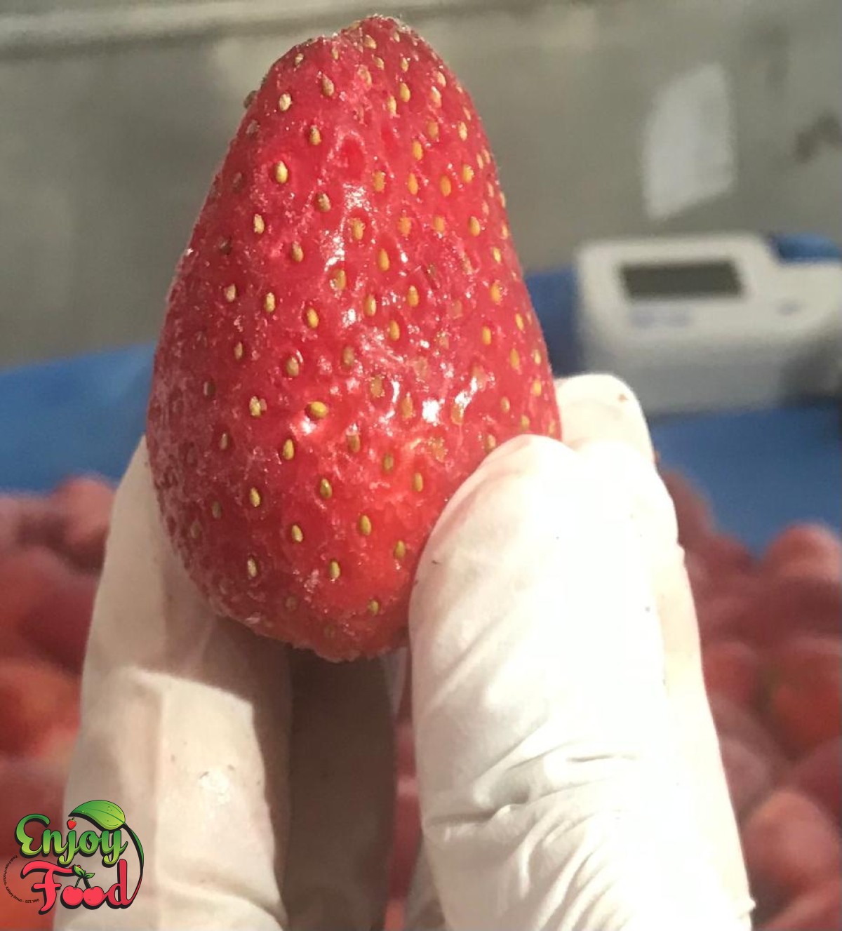 Frozen Strawberry