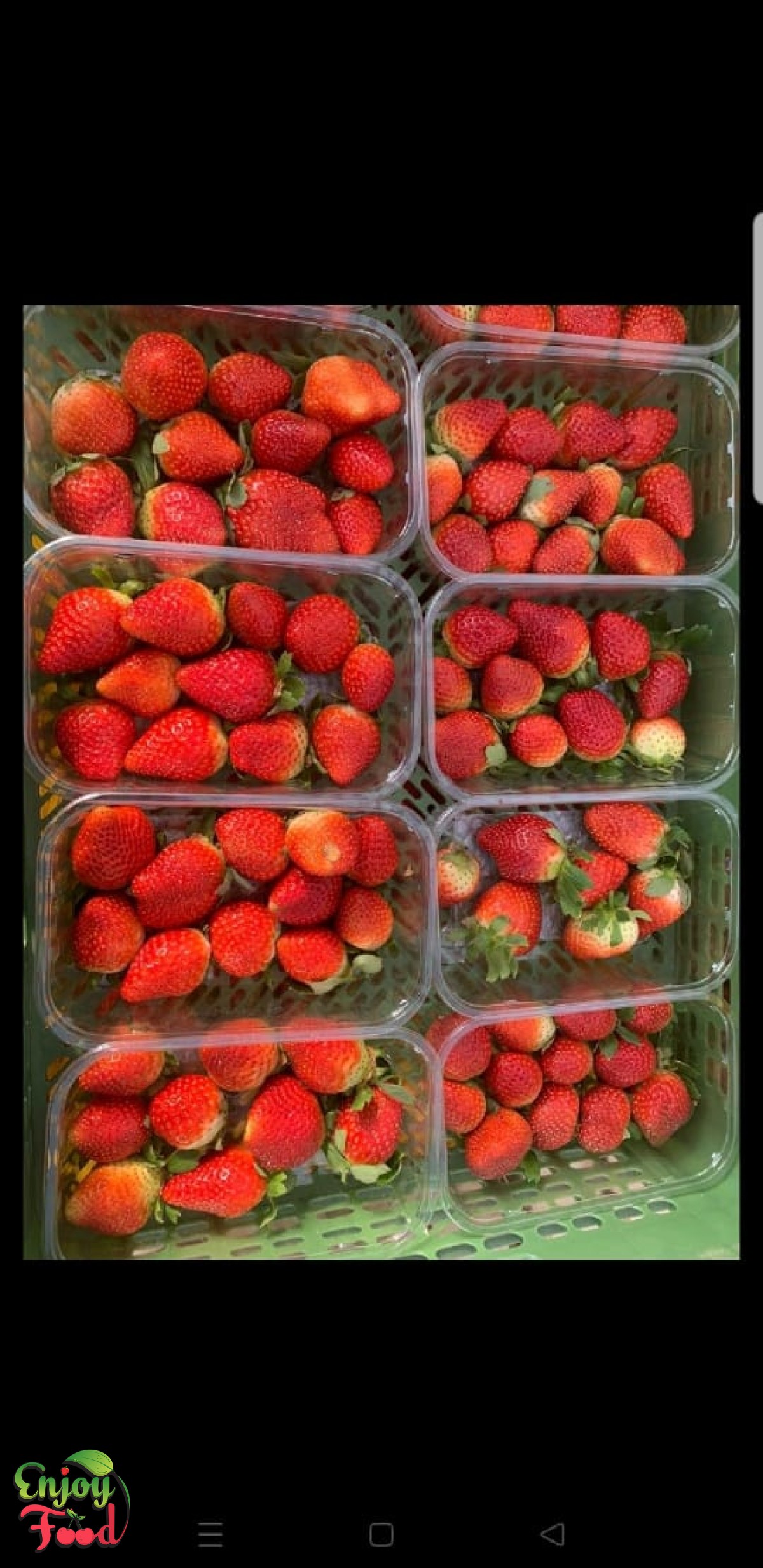 Whole Fresh Strawberry