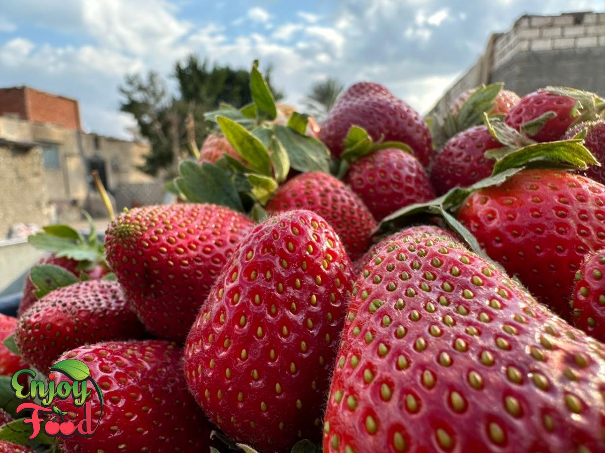 Whole Fresh Strawberry