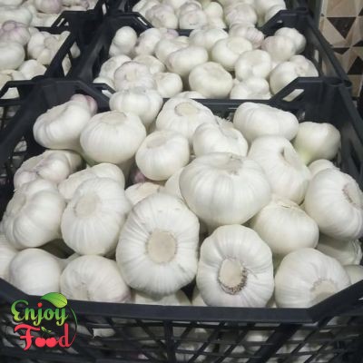 White & Red Fresh Garlic